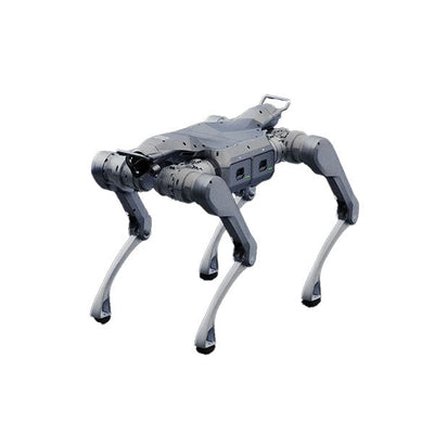 Mobile Robots