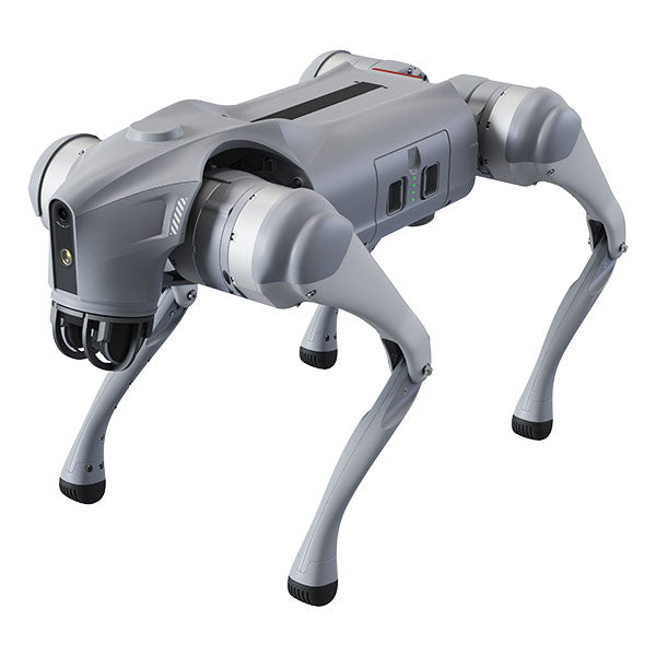 Intelligent Quadruped Robot - Lite