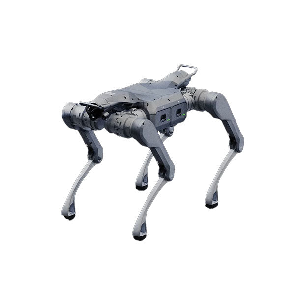 Intelligent Quadruped Robot - Stellar Explorer